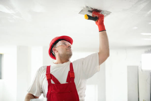 Best Wallpaper Removal and Painting  in Yeadon, PA